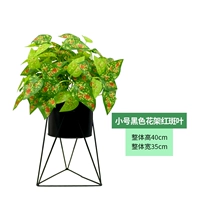 Маленькая черная цветочная подставка+листья эритема