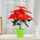 Hoa giáng sinh 7 Hoa giáng sinh đỏ nhân tạo 绢 Hoa giả hoa Giáng sinh 7 nĩa Trạng nguyên trang trí trong chậu - Hoa nhân tạo / Cây / Trái cây chậu hoa giả đẹp