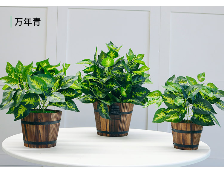 Cây mô phỏng hoa hồng xanh lá cây Ba Tư lá nhựa hoa chậu cây trang trí nội thất trang trí giả cây xanh trang trí - Hoa nhân tạo / Cây / Trái cây hoa giả đẹp