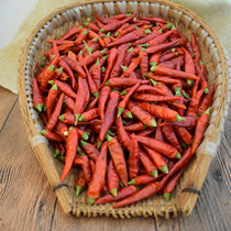 One catty of ChaoTianjiao can grind Guizhou dried chili noodles spicy millet pepper Zunyi local specialty Devil Red Sea pepper dry goods