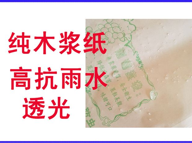 Trái cây túi đầy đủ mẫu làm vườn cung cấp túi nho đỏ túi gỗ trắng bột giấy túi chống túi giấy - Nguồn cung cấp vườn chậu trồng cây
