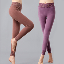 Thin suede pants woman inside lace Develvet fever thin style Warm Pants Students Single Piece Tight Body Trendline Pants