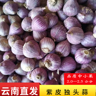 В этом году новая чеснока Yunnan Purple Skin Skin Single Head Syste Head Synk Head Srice чесночная чесночная чесночная фермерская собственная сахарный чеснок многосторонняя бесплатная доставка