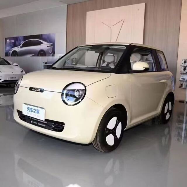 Suitable for Changan Lumin Fender, Wing Panel, Front Bumper Side Panel, Lumin Fender Paint