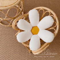 Korea ins living room sofa cushion flower pillow car back cushion waist office nap pillow