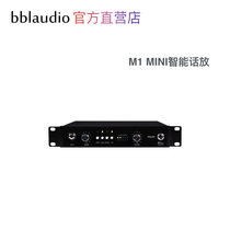 bblaudio M1 Mini Single Channel Microphone Preamplifier