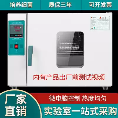 Electric heating constant temperature blast drying box Oven drying box Industrial oven Herbal grain dryer Living room lamp Laboratory