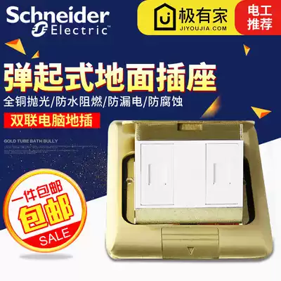Schneider dual computer network ground plug copper category five dual network port floor insert without bottom box
