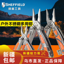 Steel Shield Tool Multifunction Sharp Mouth Pliers Diy Mini Versatile Multipurpose Pointed Pliers Big Full Wire Pliers Ornament