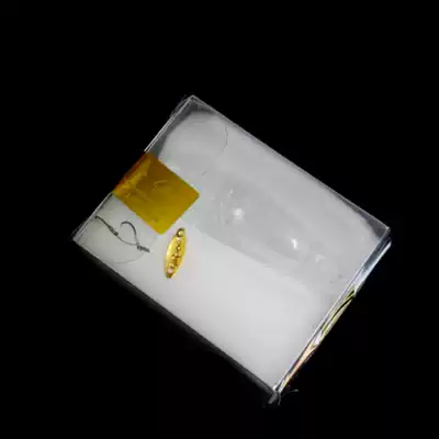 Tian Wai Xianbai special kill finished fishing group 4 grams of fish trail floating water to 10 5mm knock beetle sequin horse mouth