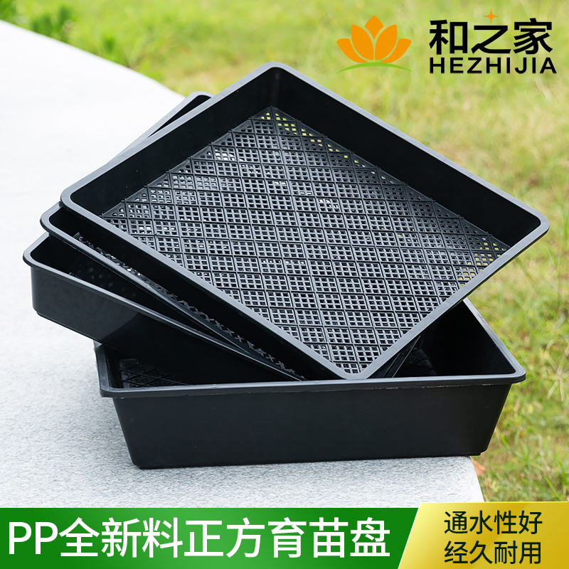 Thickened sprout seedling tray hole plate sprout vegetable tray succulent seedling pot bean sprout box planting box maca plate