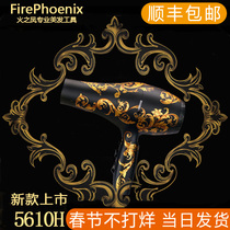 Fire Phoenix 5610H electric hair dryer hairdresser hairdresser high power hair salon ultra-quiet quick drying air duct
