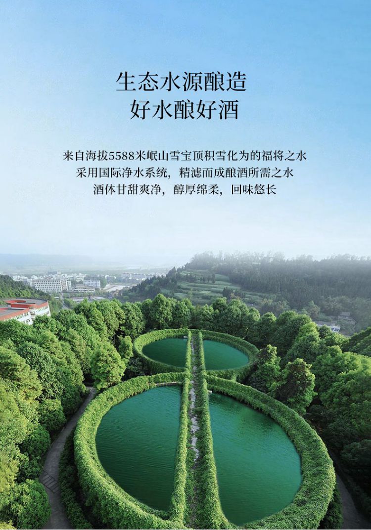 沱牌旗下高端 舍得 金猫银猫 52度浓香型白酒500mLx2瓶 熊猫礼盒 赠熊猫酒杯2个 券后248元包邮 值值值-买手聚集的地方