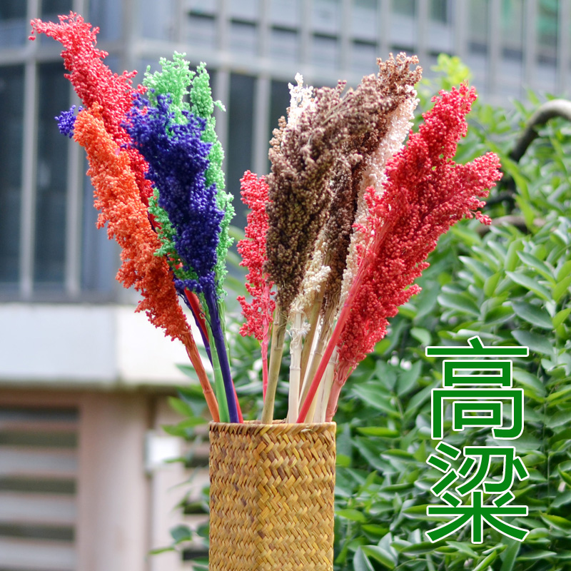 Natural Sorghum Dry Flower Bouquet 5 Grain Grain Air-dried Twigs Pole Nursery Fields Garden Wind Decoration Clog View Shooting