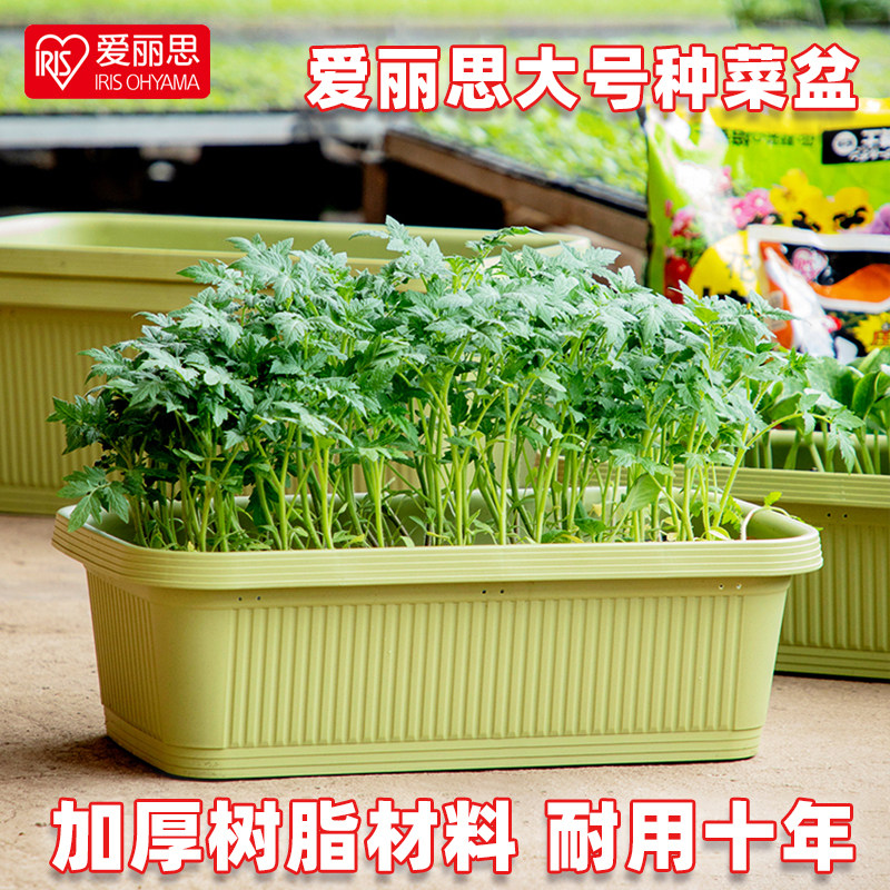 Japanese Alice vegetable box balcony rectangular vegetable pot pot flowerpot extra-large family vegetable planting box