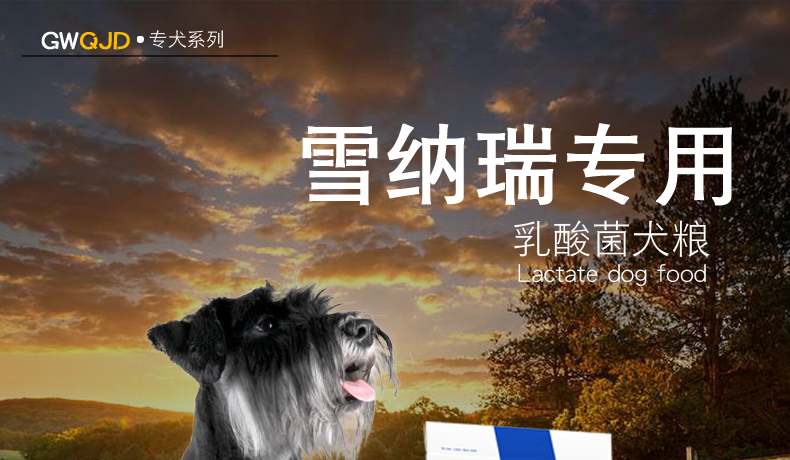 Thức ăn cho chó 5kg Schnauzer đặc biệt 10 kg chó nhỏ trưởng thành chó con chó con phổ quát làm đẹp lông canxi hạt tự nhiên - Chó Staples thức ăn bổ máu cho chó
