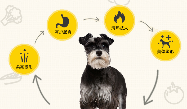 Thức ăn cho chó 5kg Schnauzer đặc biệt 10 kg chó nhỏ trưởng thành chó con chó con phổ quát làm đẹp lông canxi hạt tự nhiên - Chó Staples thức ăn bổ máu cho chó
