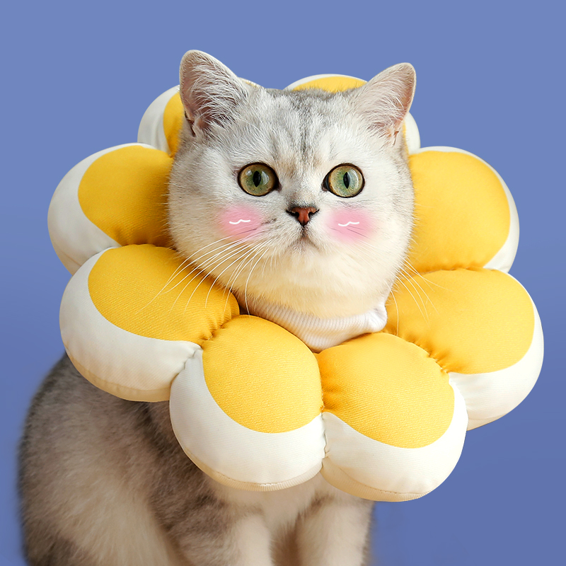Cat-item ring Elizabeth lap dogs anti-licking anti-bite headgear Ilisha waterproof soft neck ring cat neutering supplies