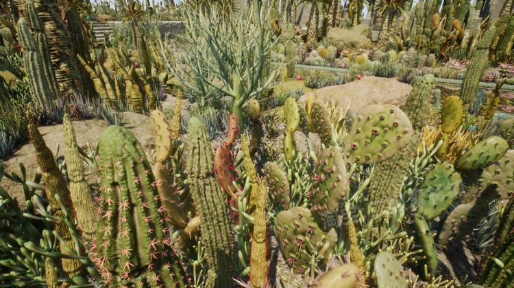 图片[24]-Cactus Plants: Desert Garden仙人掌植物沙漠花园岩石UE4.27建筑-cg男孩