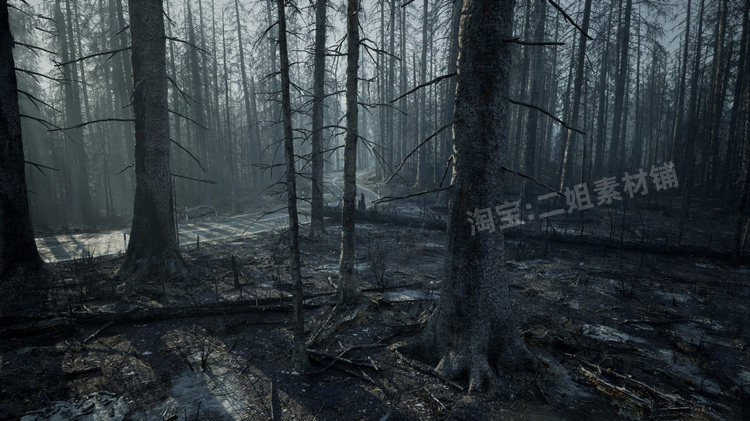 图片[11]-MW Burned Dead Trees Forest Biome燃烧森林死树枯木UE5虚幻5.1-cg男孩