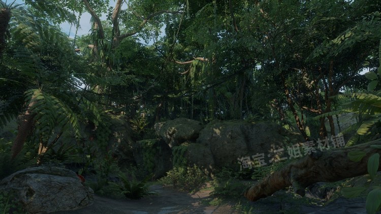 图片[6]-ropical Jungle Pack热带丛林UE4资产虚幻5植物岩石花草树木藤蔓-cg男孩