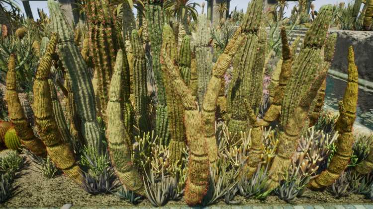 图片[17]-Cactus Plants: Desert Garden仙人掌植物沙漠花园岩石UE4.27建筑-cg男孩