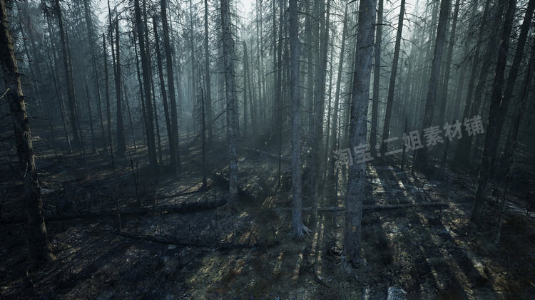 图片[19]-MW Burned Dead Trees Forest Biome燃烧森林死树枯木UE5虚幻5.1-cg男孩
