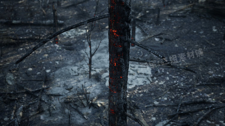 图片[9]-MW Burned Dead Trees Forest Biome燃烧森林死树枯木UE5虚幻5.1-cg男孩