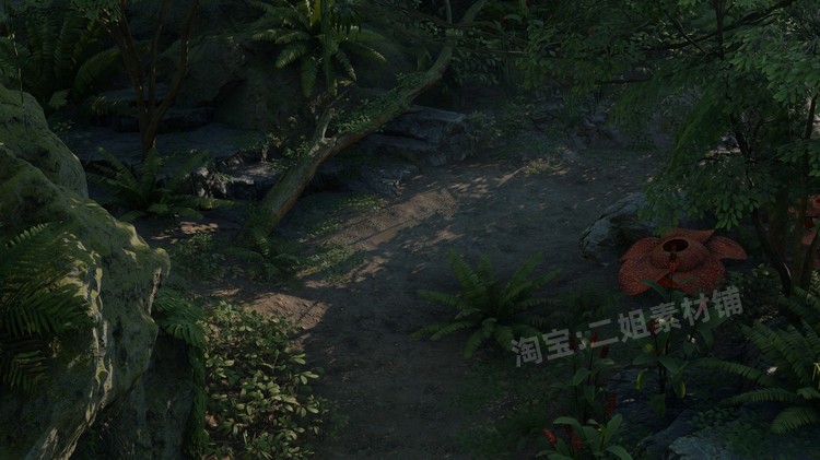 图片[8]-ropical Jungle Pack热带丛林UE4资产虚幻5植物岩石花草树木藤蔓-cg男孩