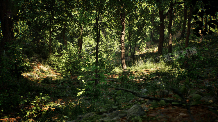 图片[13]-Japanese Forest Grave日本森林坟墓神社植物道具UE5.1游戏资产-cg男孩