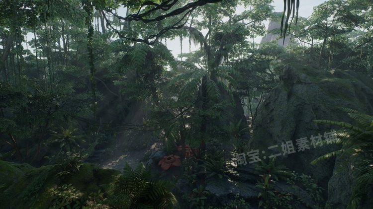 图片[14]-ropical Jungle Pack热带丛林UE4资产虚幻5植物岩石花草树木藤蔓-cg男孩