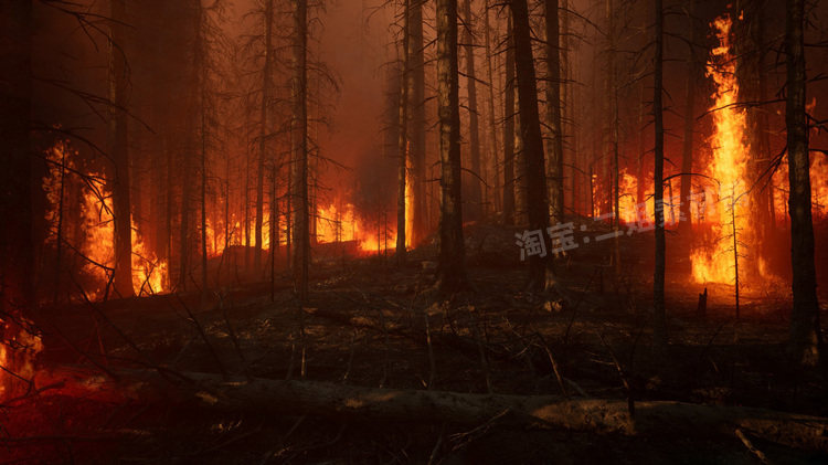 图片[6]-MW Burned Dead Trees Forest Biome燃烧森林死树枯木UE5虚幻5.1-cg男孩