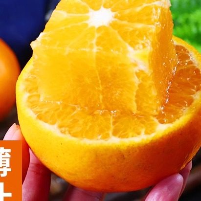 Guangxi pure sweet mandarin orange 10 Jin [Jin equals 0.5 kg] orange fresh fruit seasonal whole box sugar syrup orange citrus orange martial arts level one