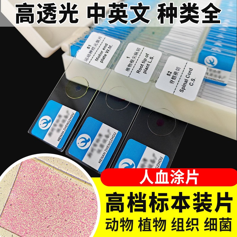 人血涂片切片生物切片涂片小学初中高中生物科学实验切片显微镜观