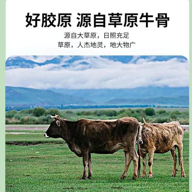 Yutiyuan ກະດູກ collagen peptide Yuxiuyuan ຂະຫນາດນ້ອຍ peptide ໂມເລກຸນແມ່ນງ່າຍທີ່ຈະດູດຊຶມສໍາລັບຜູ້ສູງອາຍຸແລະຜູ້ໃຫຍ່ເສີມທາດການຊຽມຜົງກະດູກ yak