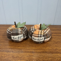 The cloth of the cloth and the