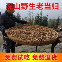 Mountain Wild Angelica Head Tablets 500g Angelica Special and Old Angelica Tablets No Angelica Chinese Medicinal Angelica Powder