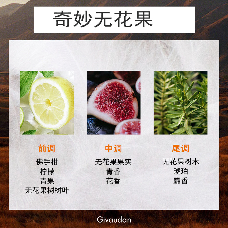 奇华顿蜡烛香精奇妙无花果室内家用香氛扩香石香料香薰蜡烛材料