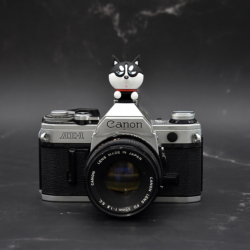 God Dog Husky Hot Boot Cover Creative Cartoon Camera Dust Cover Suitable for Fuji Sony Canon Nikon Ricoh