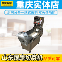 Silver Eagle YQC-850 YQC-860 Type of Multi-function Vegetable Cutter Commercial Canteen Vegetable Potato Slicing Silk Diner