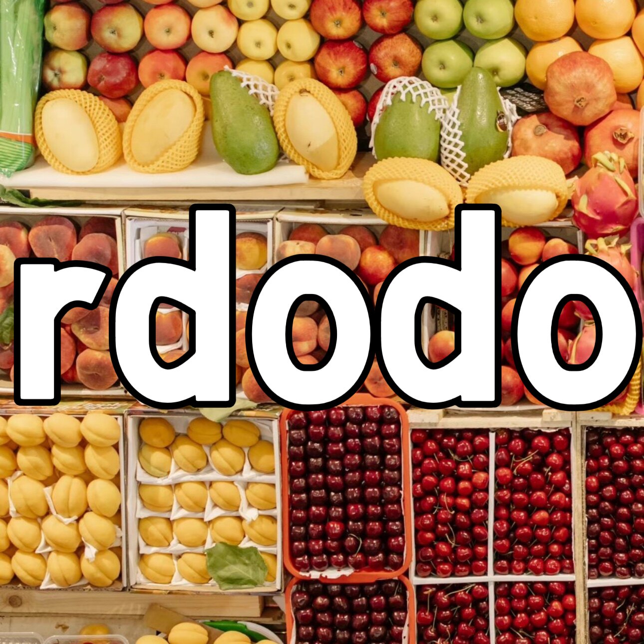 二多多家rdodo