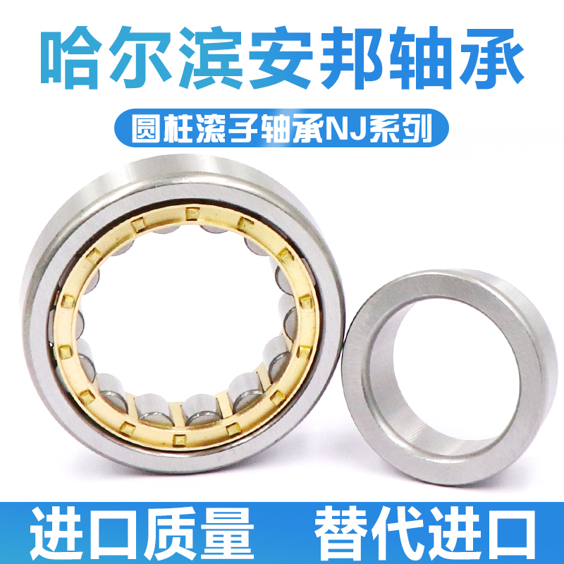 Harbin Cylindrical Roller Bearings NJ 202 203 204 205 206 207 EM