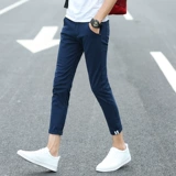 Эластичные летние трендовые штаны для отдыха, осенние, в корейском стиле