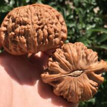 Su Suwen plays with walnut handlebar pieces to watch the goods live on the wild niche