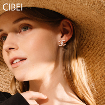 Granny senior sense small fragrant wind sterling silver earrings simple Female small net red earrings 2021 New Tide earrings