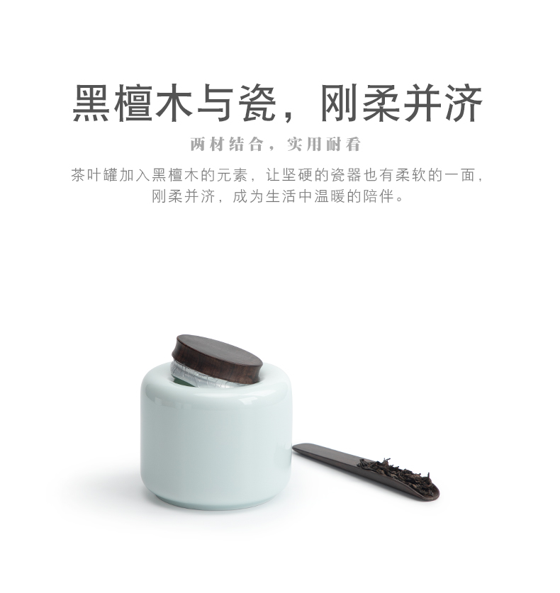 The light of Mr Nan shan four seasons tea pot seal pot ceramic tea POTS small household moistureproof tea warehouse