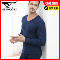 Seven wolves warm underwear autumn clothes men business pure cotton sweater wearing suit low-collar finished shirt shirts