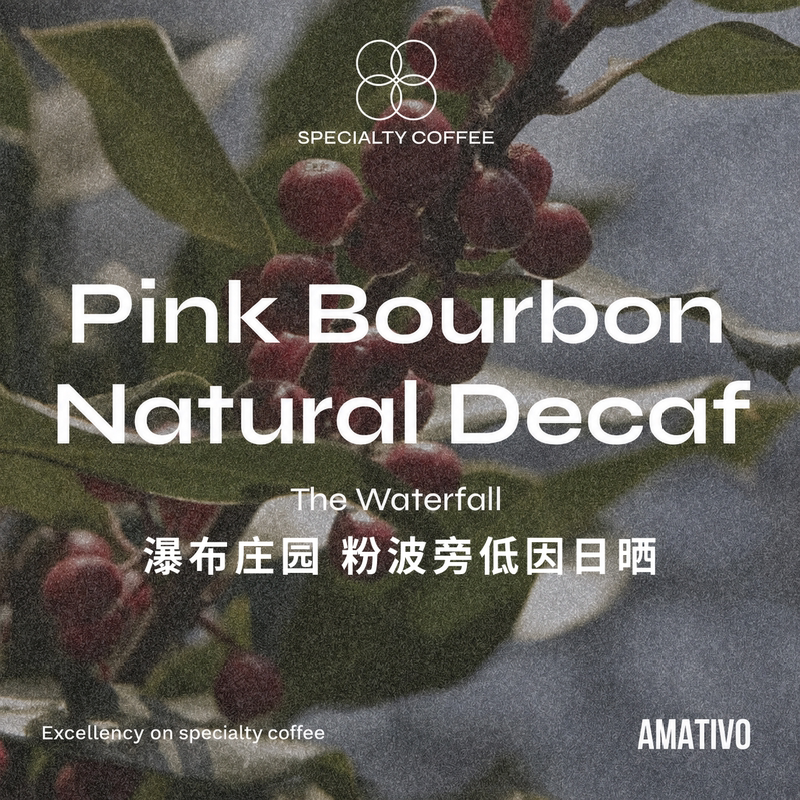 Co90 Colombia Waterfall Estate Pink Bourbon Cane Low-Caffeine Processed Coffee Beans