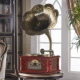 Royal Gramophone retro American phòng khách vinyl ghi âm loa lớn âm thanh nhà châu Âu chính hãng - Máy hát