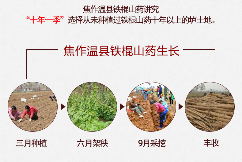 郑州正宗垆土地山药专卖店价格，铁棍山药团购，河南铁棍山药批发插图(8)